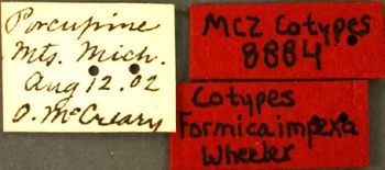 Media type: image; Entomology 8884   Aspect: labels